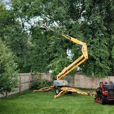 Best Arborist Consultation Services  in Georgetown, KY